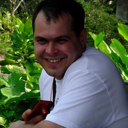 �������, �����-���������, 43 ����