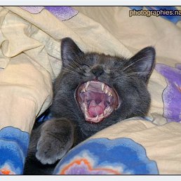 ���� ������� ������, ������ - ��������� 28 �������� 2012