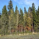  Serzh Van Der Maaremaan,  -  9  2009    