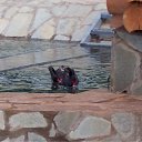 ���� ����, ������ - ��������� 13 ������ 2010 � ������ ������������ �� �������