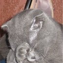 ���� ����, ��������, 49 ��� - ��������� 14 ��� 2012 � ������ ���� ����������