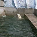 ���� ������� �����, ����������� - ��������� 29 ���� 2011 � ������ �������