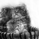 ���� ����������, ������ - ��������� 17 ���� 2013 � ������ ���� ����������