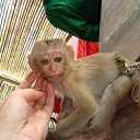 ���� ������, ��������, 41 ��� - ��������� 30 ������� 2010 � ������ �������