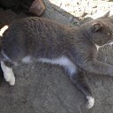���� ~*&deg;^&deg;*~ ��� ~*&deg;^&deg;*~, ����� - ��������� 17 ����� 2010 � ������ ������...� ...����...�