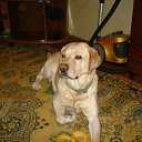 ���� �������, ��������, 46 ��� - ��������� 30 ����� 2012 � ������ ���� ����������