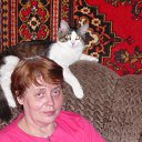 ���� ��������, ����� - ��������� 29 ������ 2009