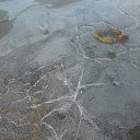 ���� �����.....����., �������, 43 ���� - ��������� 28 ������ 2011 � ������ ���� ����������