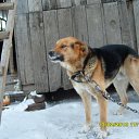  Dima,  -  15  2010   