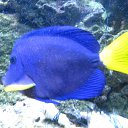 ���� �������, ������, 55 ��� - ��������� 13 ���� 2011 � ������ �� �����