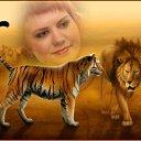 ���� ������ �, ������������, 44 ���� - ��������� 10 ������ 2012 � ������ ���� ����������