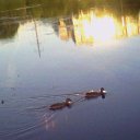 ���� ��������, �������, 45 ��� - ��������� 12 �������� 2011 � ������ �������