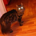 ���� ������, ���������, 39 ��� - ��������� 23 ���� 2012 � ������ ���� ����������