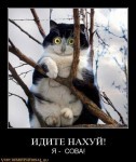 ���� �������, ������, 46 ��� - ��������� 12 ������ 2012 � ������ �������