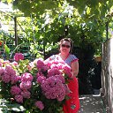 ���� �����, ������, 52 ���� - ��������� 16 ���� 2013