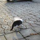  , -, 57  -  28  2012      !!!