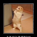 ���� �����, ������������� - ��������� 17 ����� 2010 � ������ �������������!!!�