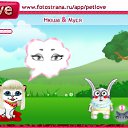  , , 22  -  25  2010   PetLove