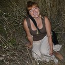 ���� �������, ������������, 56 ��� - ��������� 29 ����� 2013