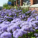 ���� ���������, ���������, 59 ��� - ��������� 28 ���� 2011 � ������ ��������