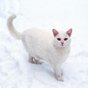 ���� �������, ������, 50 ��� - ��������� 8 ������� 2010 � ������ �������� � � ������