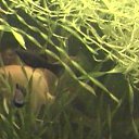 ���� ������, ���������, 66 ��� - ��������� 14 �������� 2010 � ������ ��� �������