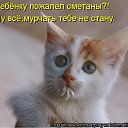  ,  -  23  2012    