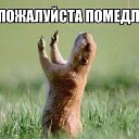 ���� ������, �����, 38 ��� - ��������� 25 ���� 2013 � ������ ������ ��������