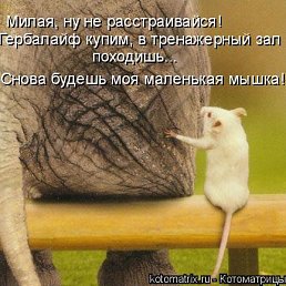 ���� ����, ����������� - ��������� 10 ������� 2010