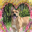 ���� ����, ���������, 62 ���� - ��������� 17 ������ 2010 � ������ �������