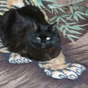 ����� �� ������� ���������