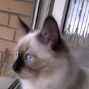   ( ),  -  22  2012     Ҹ!!!