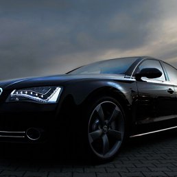 ���� ���, �����, 40 ��� - ��������� 16 ������� 2011