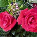 ���� ������, ���-����, 27 ��� - ��������� 17 ������� 2009 � ������ �����������