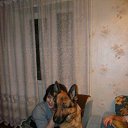 ���� ������, ���������, 54 ���� - ��������� 27 ����� 2012 � ������ ���� ����������