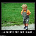 ���� �������, �����, 44 ���� - ��������� 2 ���� 2013 � ������ ���� ����������