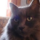 ���� �����, ������, 50 ��� - ��������� 4 ������� 2012 � ������ �������