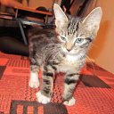 ����� ���� *���� ����� ���� �������� ������* �� ������� ���������