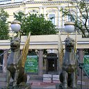 ���� ������, ���������, 42 ���� - ��������� 5 ������� 2012 � ������ ������-��������� 2012�