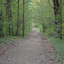 ���� �����, ������, 51 ��� - ��������� 20 ������� 2010 � ������ ������ � ��� ����������