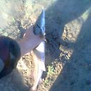 ���� ���������, ����, 57 ��� - ��������� 16 ������� 2012 � ������ ���� ����������