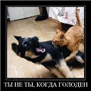 ���� ������, ������, 35 ��� - ��������� 30 ������� 2012