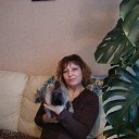 ���� �����, ���������, 64 ���� - ��������� 24 ��� 2013 � ������ ���� ����������