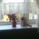 ���� ����, ����� - ��������� 1 ������� 2012 � ������ ���������