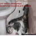���� ������, �����������, 51 ��� - ��������� 7 ��� 2012 � ������ �������