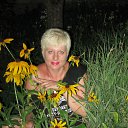 ���� ���, ����� - ��������� 25 ���� 2010 � ������ ���� ����������