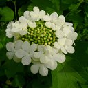 ���� ����, ������, 44 ���� - ��������� 23 ��� 2010 � ������ ��������