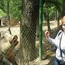 ���� �����, ����, 70 ��� - ��������� 16 ������� 2013 � ������ ���� ����������