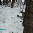 ���� �����, ����, 66 ��� - ��������� 25 ����� 2013 � ������ ���� ����������