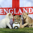 ���� ����� - ���������� ��������!!!, �����������, 56 ��� - ��������� 14 ���� 2010 � ������ �� ����� �������� � ... �� ������